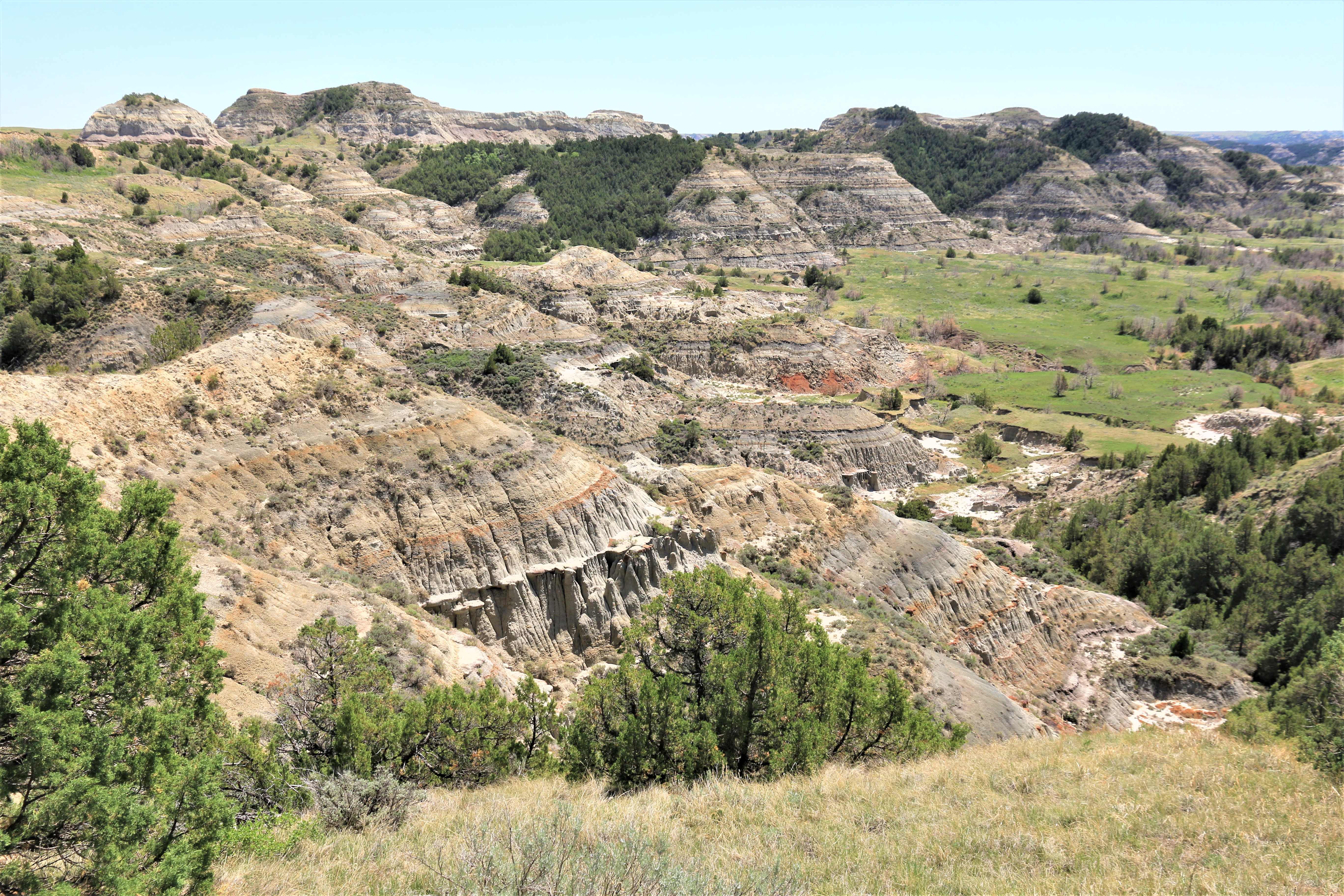 Theodore Roosevelt NP